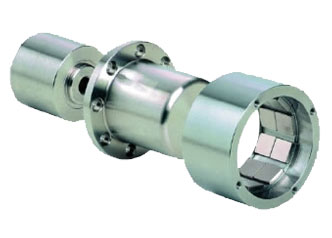 Magnetic pump coupling