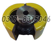 Coupling with roller chain